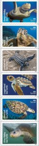 #5865 - 5870a 2024 Protect Sea Turtles Strip/6   - MNH (After June 11)