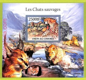 B0008 - COMOROS - MISPERF ERROR Stamp Sheet - 2011 Animals,Big CATS,Wild Cats-