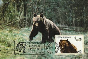 ROMANIA POSTCARD 1976 BROWN BEAR NATURE MOUNTAINS SPECIAL MARKING ANIMALS