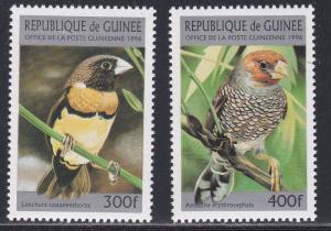 Guinea # 1370-1371, Birds, Wholesale lot of Thirty Stamps, 5% of Cat.