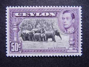 Ceylon 1938 50c Elephants, P. 13.5, sg 394b MNH