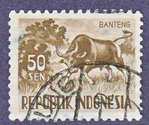 Indonesia 430 - Cattle