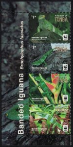 Tonga WWF Banded Iguana Strip of 4v Latin Name 2016 MNH SG#1804-1808