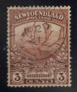 NEWFOUNDLAND Scott 117 Used
