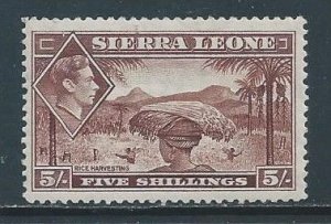 Sierra Leone #183 MH 5sh King George VI, Rice Harvesting