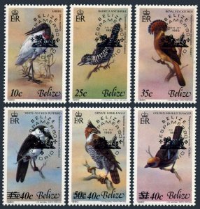 Belize 502a-502f,502 sheet,MNH.Michel 512-517,Bl.22. ESPAMER-1980.Birds.