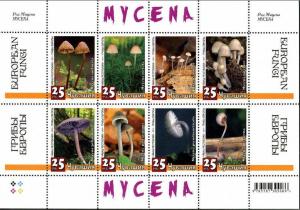 RUSSIA LOCAL SHEET MUSHROOMS