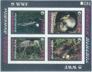 M2026 - RUSSIAN STATE, MINIATURE SHEET: WWF, ducks, birds, fauna-