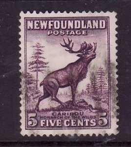 Newfoundland-Sc#191-used 5c deep violet Caribou-Die II-1932-7-Nfw384-