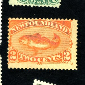 NEWFOUNDLAND #48 MINT FINE OG HR THIN Cat $40