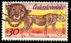 Wild Cat, Cheetah, Czechoslovakia stamp SC#2086 used