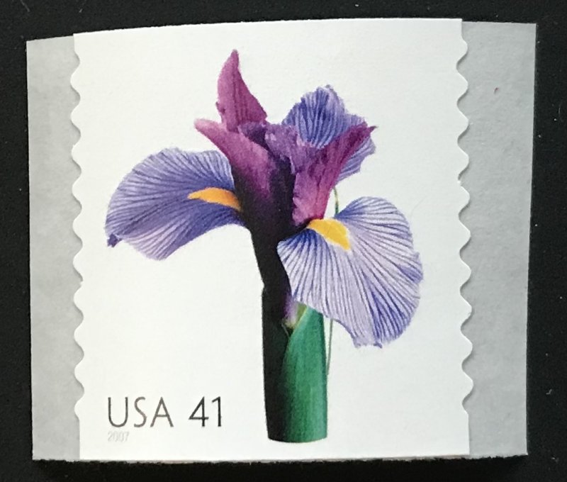 US MNH #4166 Coil Single Iris Beautiful Blooms SCV $2.00