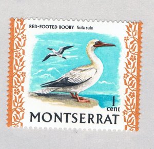 Montserrat 231 MNH Red-footed Booby Bird 1970 (BP67402)