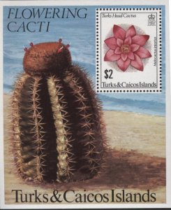 Turks & Caicos 475 (mnh s/s) $2 Turks’ Head cactus (1981)