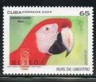 CUBA Sc# 4991  PARROTS birds 65c  2009  MNH mint