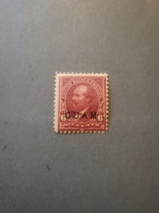 Stamps Guam Scott #6 h