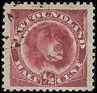 NEWFOUNDLAND   # 56a USED DEEP ROSE RED (1)