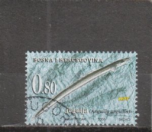 Bosnia & Herzegovina  (Croat) Scott#  57  Used (2000 European Eel)