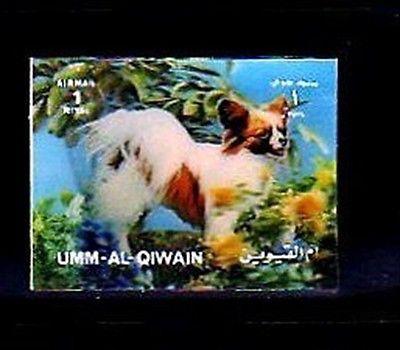 UMM AL QIWAIN - 1972 - 3 D - DOGS - GREAT PHOTO - MINT - ...