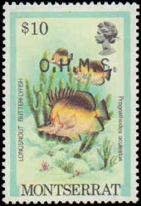 Montserrat #O45-O55, Complete Set(11), 1981, Fish, Never Hinged