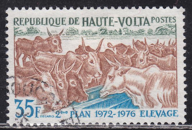 Burkina Faso 278 Domesticated Cattle 1972