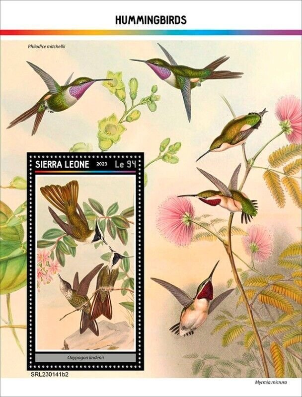 Sierra Leone - 2023 Hummingbirds - Stamp Souvenir Sheet - SRL230141b2