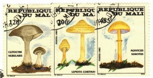 Mali #516-8 used Mushrooms