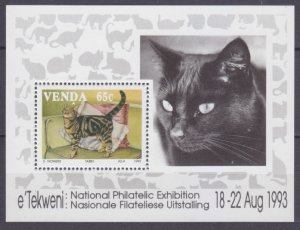 1993 Venda 251/B9 Cats 7,00 €