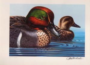 RW46 1979 FEDERAL  DUCK STAMP PRINT GREEN WINGED TEAL  Ken Michaelson List $350