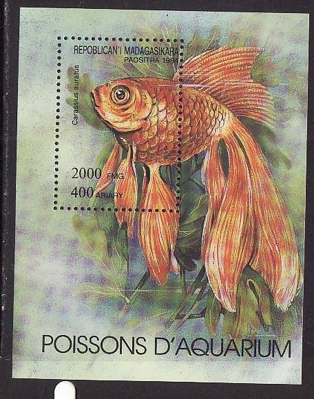 Madagascar Malagasy-Sc#1199-unused NH sheet-Marine Life-Fish-1994-