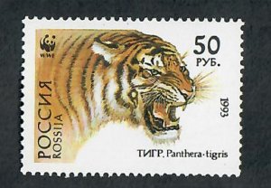 Russia 6178 Tiger MNH Single