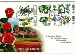 GB FLOWERS FDC British Flora Illustrated Typed First Day Cover 1967 AA136 