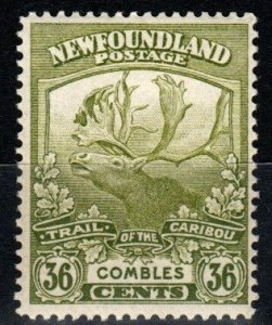 Newfoundland #126 F-VF Unused CV $37.50 (X3417)