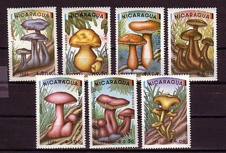 Nicaragua, Scott cat. 1403-1409. Mushrooms issue.