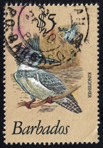 Barbados - Scott 510 - Used - Creased