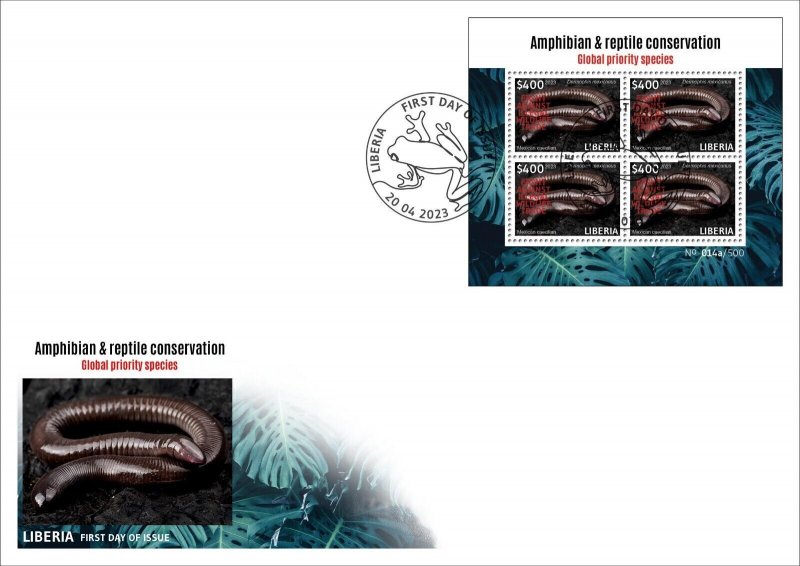 LIBERIA 2023 SET OF 6 X FDC (REG & ORIGINAL PACKAGING) - AMPHIBIANS FROG FROGS ALGERIA NEWT-