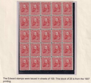 NEWFOUNDLAND # 82 VF-MNH SHEET/BLOCK OF 25 KING EDWARD V11 SHOW PIECE