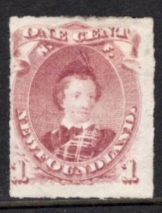 Newfoundland 37 F Used