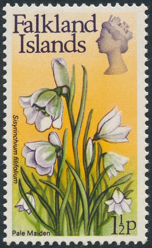 Falkland Islands 1972 Flowers 1½p Pale Maiden SG278 MH