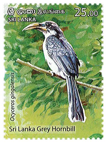 2021 Sri Lanka Endemic Birds (6) (Scott 2285-90) MNH