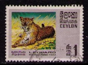CEYLON Sc# 442 USED FVF Leopard