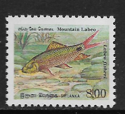 SRI LANKA, 979, MNH, MOUNTAIN LABEO FISH