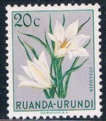 Ruanda Urundi 116 MNH Flower Vellozia 1953 (R0240)+