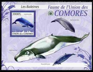 Comoro Islands 2009 Whales perf s/sheet unmounted mint Yv...