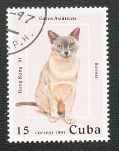 CUBA Sc# 3802 CATS domestic felines HONG KONG PHILEX 15c 1997 used