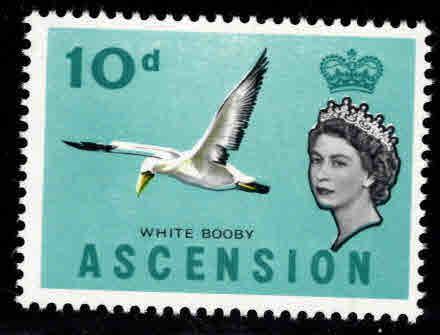 ASCENSION  Scott 82 MNH** Bird stamp