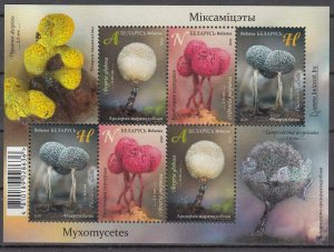 2020 Belarus KL Mushrooms