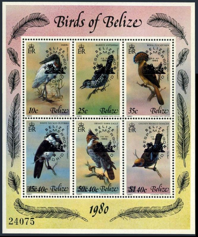 Belize 502 af sheet,MNH.Michel 512-517 Bl.22. Birds,ESPAMER-1980.