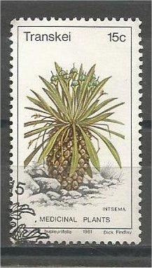 TRANSKEI, 1981, CTO 15c, Medicinal plants. Scott 33