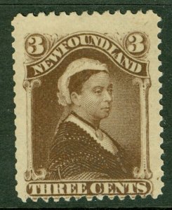 SG 52 Newfoundland 1887. 3d deep brown. A fine unmounted mint example CAT £85